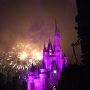 walt-disney-world-christmas-109