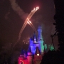 walt-disney-world-christmas-117