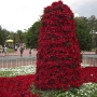 walt-disney-world-christmas-14