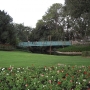 walt-disney-world-christmas-18