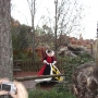 walt-disney-world-christmas-20