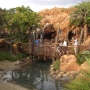 walt-disney-world-christmas-40