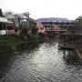 walt-disney-world-christmas-53