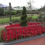 walt-disney-world-christmas-54