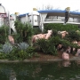 walt-disney-world-christmas-58