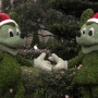 walt-disney-world-christmas-59