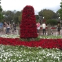 walt-disney-world-christmas-61