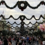walt-disney-world-christmas-63