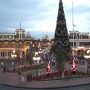 walt-disney-world-christmas-72