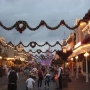 walt-disney-world-christmas-78