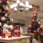 walt-disney-world-christmas-80