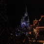 walt-disney-world-christmas-89
