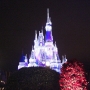 walt-disney-world-christmas-96