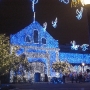 disney-holiday-pictures-15