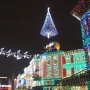 disney-holiday-pictures-21