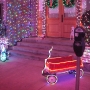 disney-holiday-pictures-26