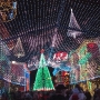 disney-holiday-pictures-27