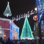 disney-holiday-pictures-31