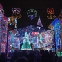 disney-holiday-pictures-7