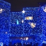 disney-holiday-pictures-8