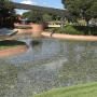 disney-epcot-food-wine-festival-14