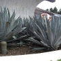 disney-epcot-food-wine-festival-148