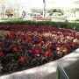 disney-epcot-food-wine-festival-21