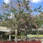 disney-epcot-food-wine-festival-24