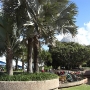 disney-epcot-food-wine-festival-34