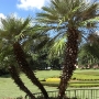 disney-epcot-food-wine-festival-38