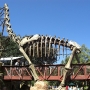 disney-animal-kingdom-1