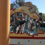 disney-animal-kingdom-12