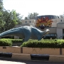 disney-animal-kingdom-18