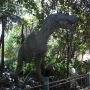 disney-animal-kingdom-19