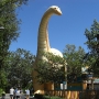 disney-animal-kingdom-22