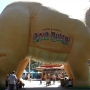 disney-animal-kingdom-23