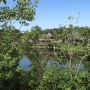 disney-animal-kingdom-24