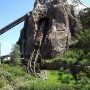 disney-animal-kingdom-28