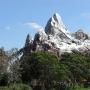disney-animal-kingdom-30