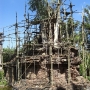 disney-animal-kingdom-32
