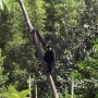 disney-animal-kingdom-35