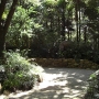 disney-animal-kingdom-7
