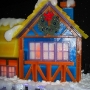 gaylord-ice-show-21