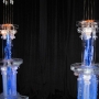 gaylord-ice-show-22
