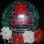 gaylord-ice-show-32