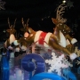 gaylord-ice-show-8