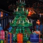gaylord-ice-show-9