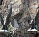 Hogswarts castle pictures at harry potter land