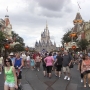 magic-kingdom-10