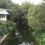 magic-kingdom-13